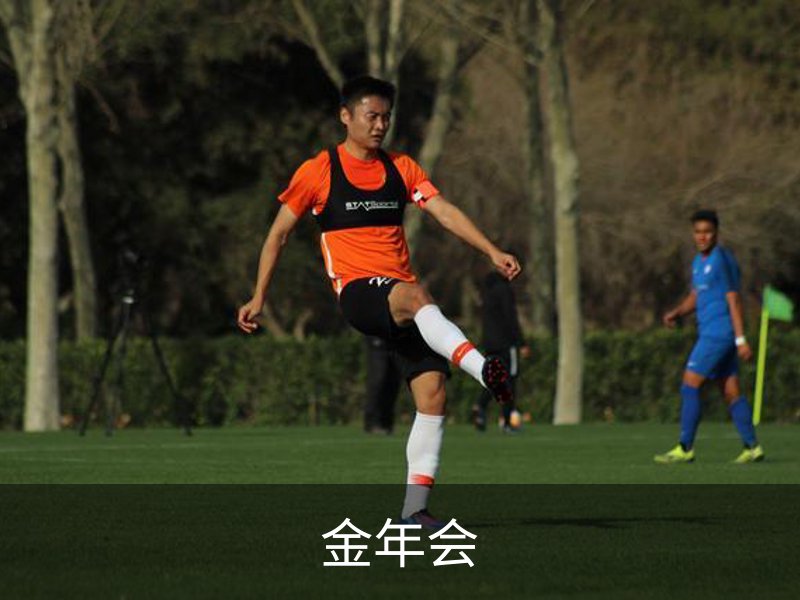 关于金年会
